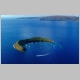 Molokini Island Light - Hawaii.jpg